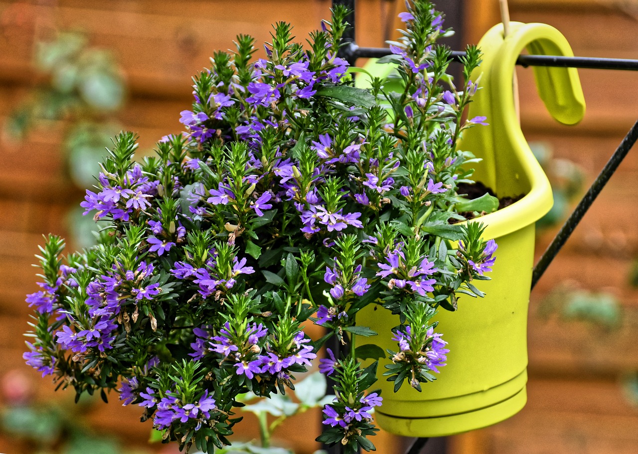 Homemade Plant Pots from Recycled Materials